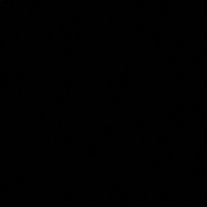 Meet your Posher, Fekirte